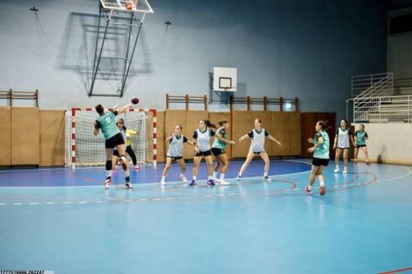 体育培训机构的运营现状